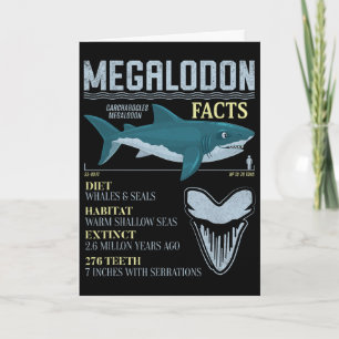 Tarjeta Datos de Megalodón Diente Fósil de Tiburón Prehist