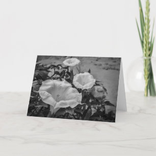 Tarjeta Datura sagrada