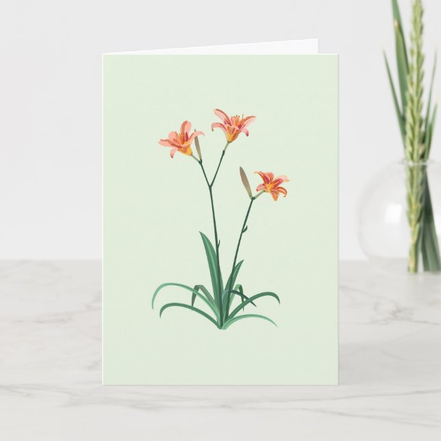 Tarjeta Daylilies Flowers Card (Anverso)