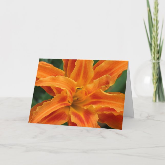 Tarjeta Daylily (Anverso)