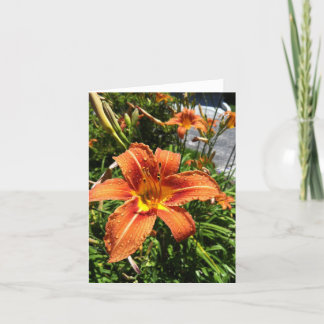 Tarjeta Daylily Notecards