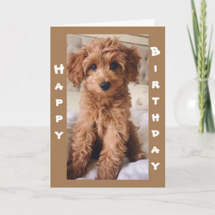 TARJETA *DE 1 AMANTE DE PERRO A OTRO CUMPLEAÑOS FELIZ*
