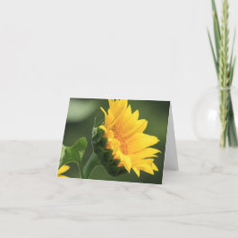 Tarjeta de 2 notas para retrato de girasol