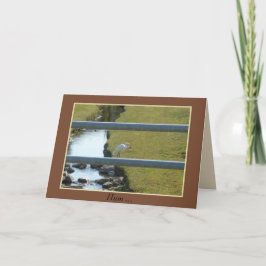 Tarjeta de 5" x 7" con sobre