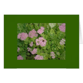 tarjeta de abeja de burbujas