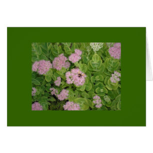 tarjeta de abeja de burbujas