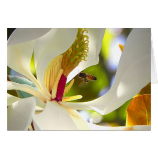 Tarjeta de Abeja Magnolia y Miel