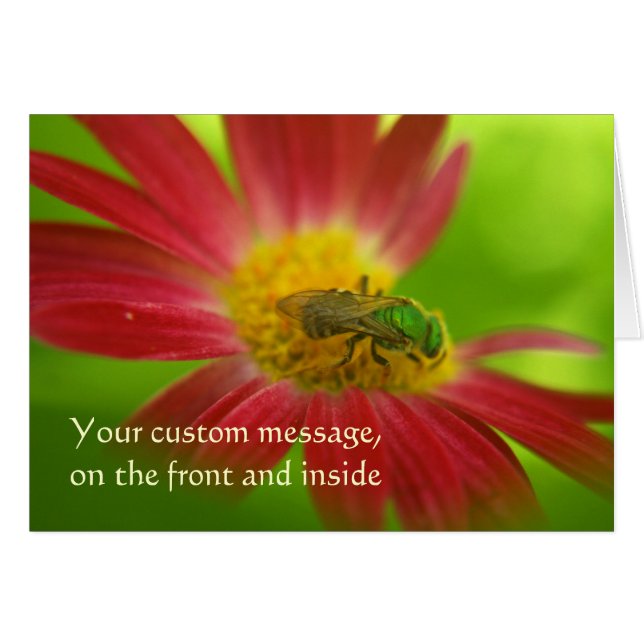 Tarjeta de abeja verde y margarita pintada (Anverso (Horizontal))