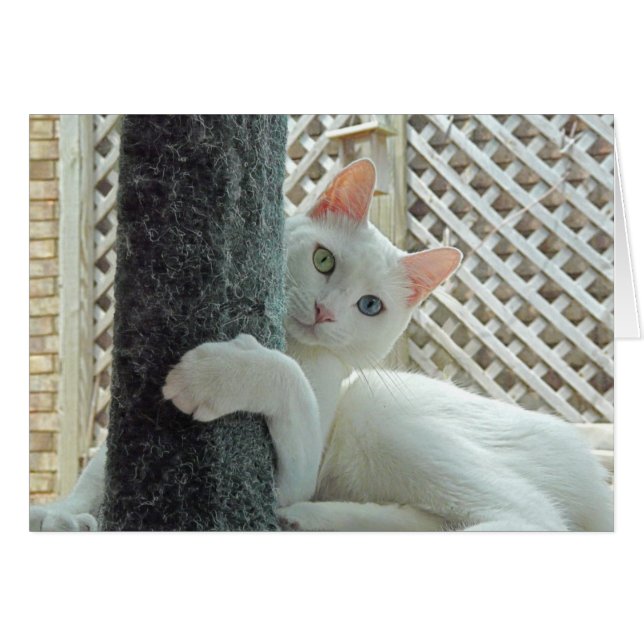 Tarjeta de abrazo de serenidad (Anverso (Horizontal))