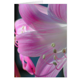 Tarjeta de abrazo rosa