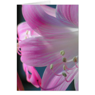 Tarjeta de abrazo rosa