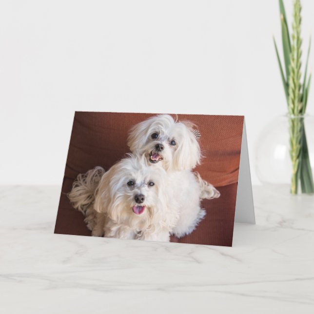 Tarjeta de abrazos (Anverso)