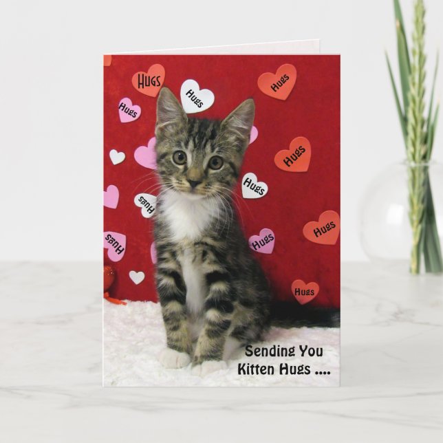 Tarjeta de abrazos de gatitos de Bandit (3335) (Anverso)