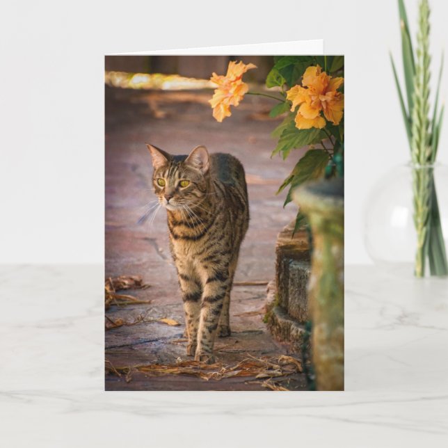 Tarjeta de Acción de Gracias con gato y flores de  (Anverso)