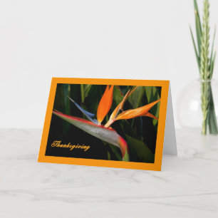 Tarjeta de Acción de Gracias con Pájaro del Paraís