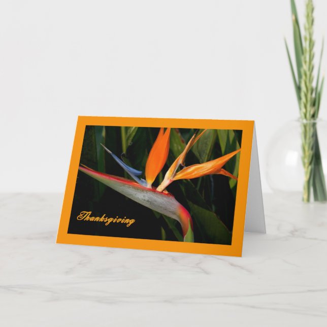 Tarjeta de Acción de Gracias con Pájaro del Paraís (Anverso)