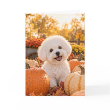Tarjeta de Acción de Gracias de Bichon Frise