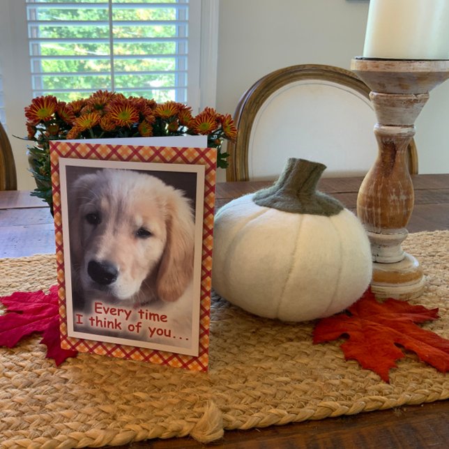Tarjeta de acción de gracias de Mascota de perro d (Subido por el creador)