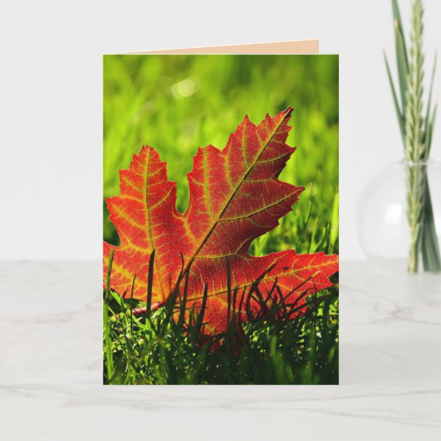 TARJETA DE ACCIÓN DE GRACIAS DE OTOÑO HOJAS (Anverso)