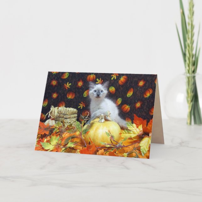 Tarjeta de Acción de Gracias de Savannah (Cat / Ki (Anverso)