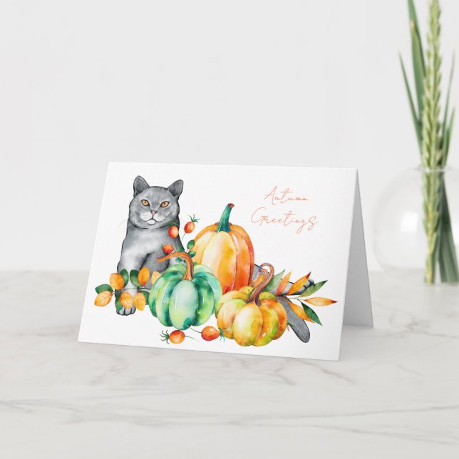 Tarjeta de Acción de Gracias Gato Gris y Calabazas (Anverso)