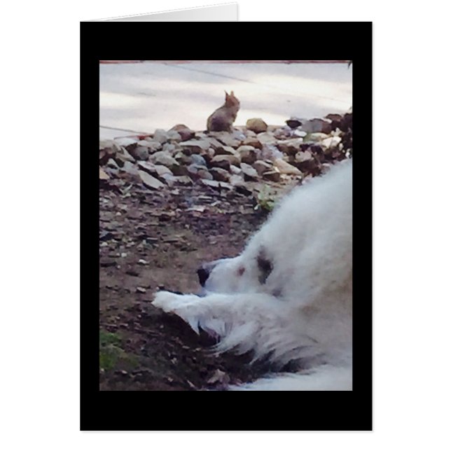 Tarjeta de aceptación (Frente)