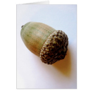 Tarjeta De Acorn De Semillas