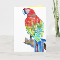 Tarjeta de acuarela de loro azul verde rojo de Mac