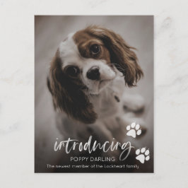 Tarjeta de adopción de cachorros o perros, nueva i