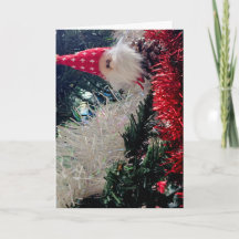 tarjeta de adorno de Navidad