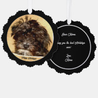 Tarjeta de Adorno de Papel Schnoodle