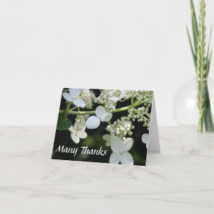 Tarjeta de agradecimiento