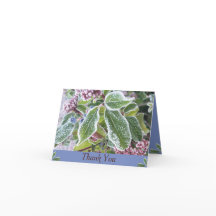 Tarjeta de agradecimiento