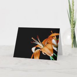 Tarjeta De Agradecimiento 4464-Cierre de Naranjas Lillies