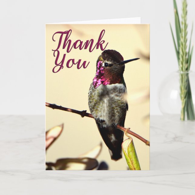 Tarjeta de agradecimiento a Anna's Hummingbird (Anverso)
