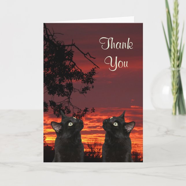 Tarjeta de agradecimiento a Black Cats Red Sunset (Anverso)