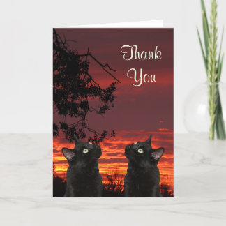 Tarjeta de agradecimiento a Black Cats Red Sunset
