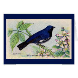 Tarjeta de agradecimiento a Black Throed Blue Warb