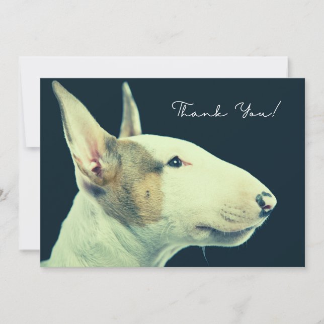 Tarjeta de agradecimiento a Bull Terrier (Anverso)