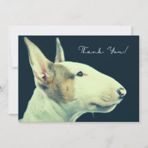 Tarjeta de agradecimiento a Bull Terrier
