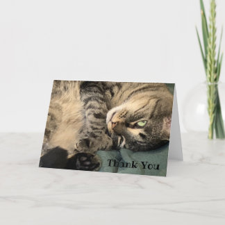 Tarjeta de agradecimiento a Cat