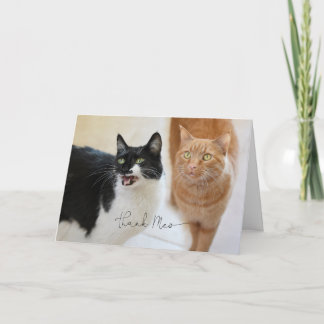 Tarjeta de agradecimiento a Cat
