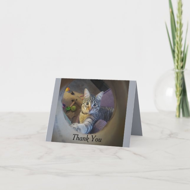 Tarjeta de agradecimiento a Cat (Anverso)