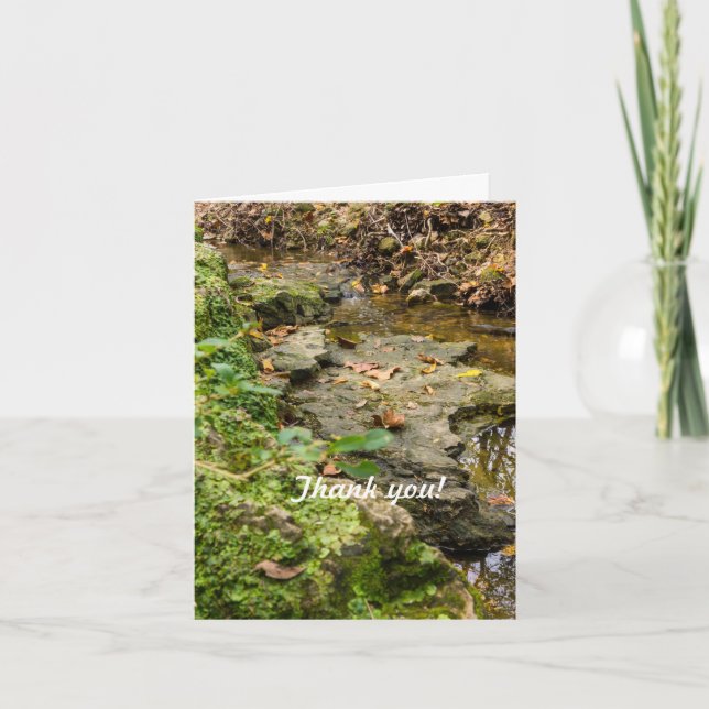 Tarjeta de agradecimiento a Creek Rock Bed (Anverso)