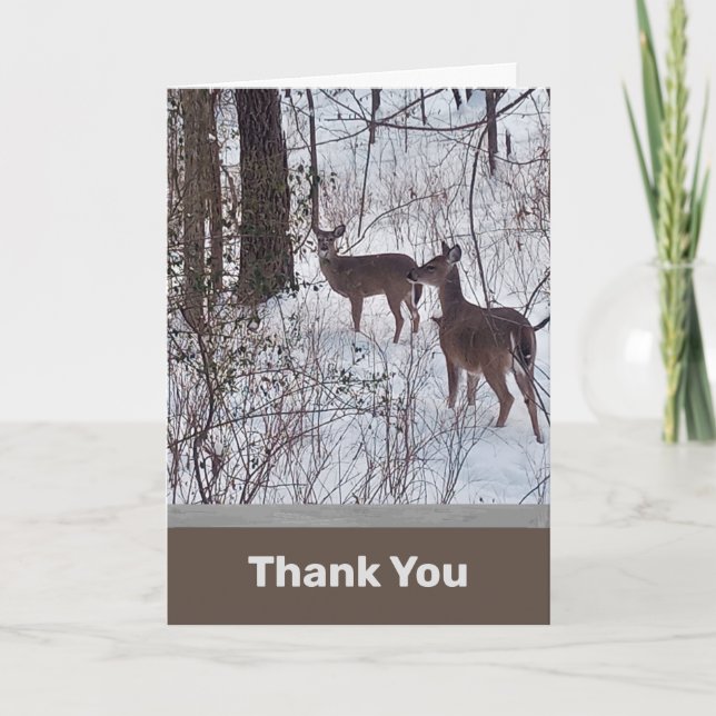 Tarjeta de agradecimiento a Deer in Snow Photo (Anverso)