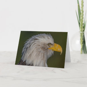 Tarjeta de agradecimiento a Eagle Portait Calvo