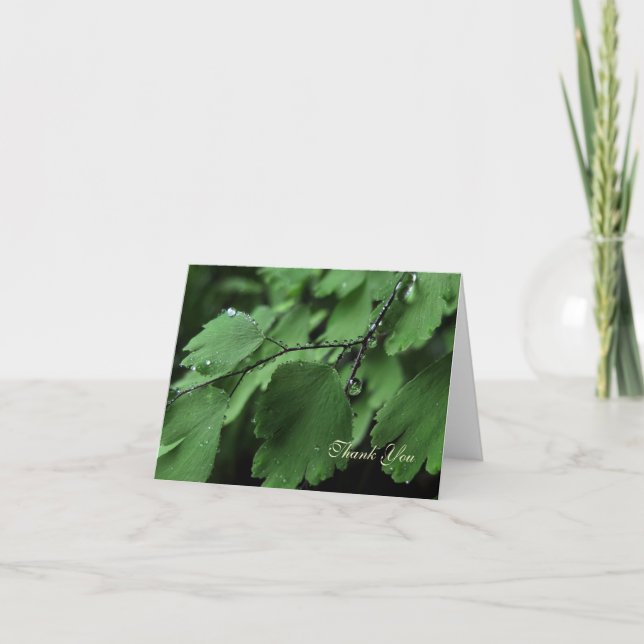 Tarjeta de agradecimiento a Fern and Raindrop (Anverso)