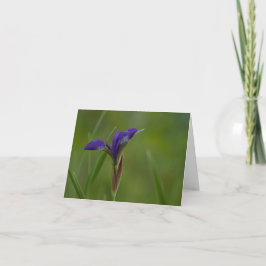 Tarjeta de agradecimiento a Iris Siberiano Púrpura