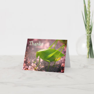 Tarjeta de agradecimiento a Katydid Grasshopper Na
