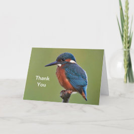 Tarjeta de agradecimiento a Kingfisher